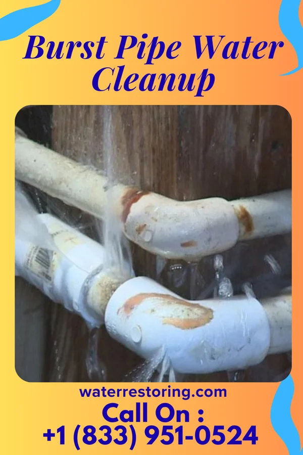 Burst Pipe Water Cleanup in Alliance, OH