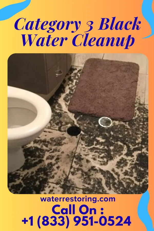 Category 3 Black Water Cleanup in Alliance, OH