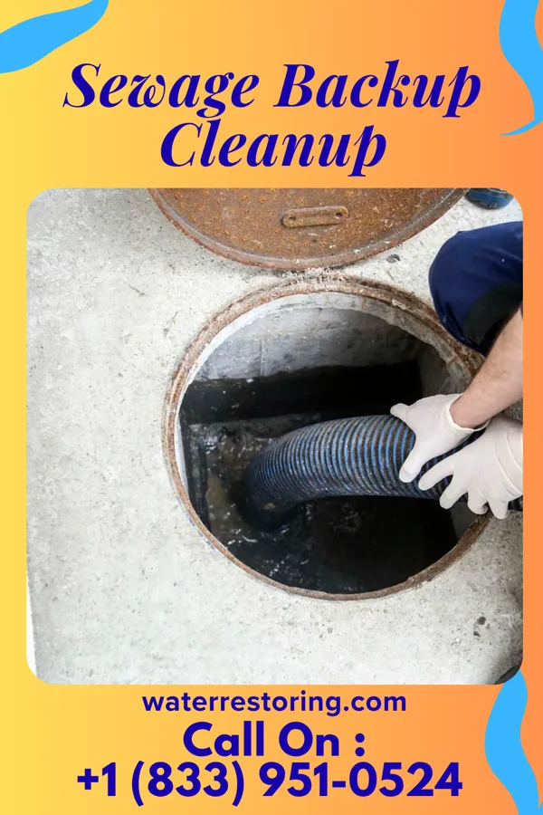 Sewage Backup Cleanup in Alliance, OH