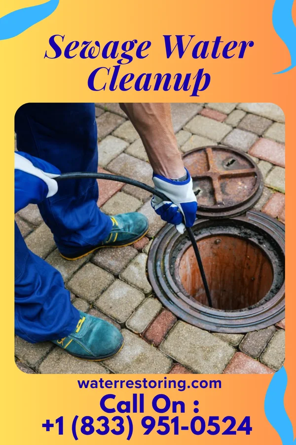 Sewage Water Cleanup in Alliance, OH