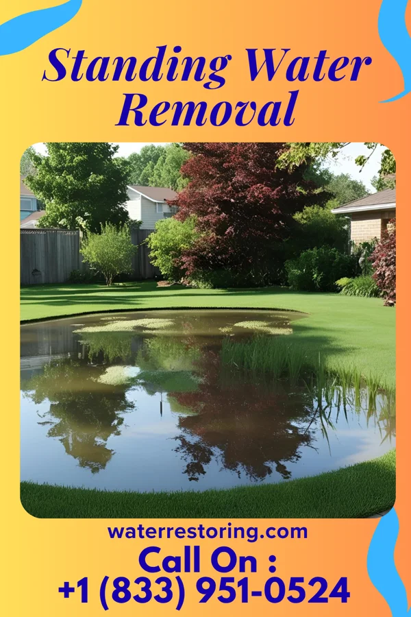 Standing Water Removal in Alliance, OH